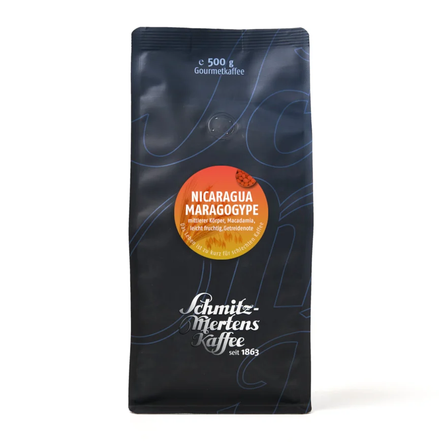 Nicaragua Maragogype
